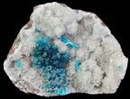 Vibrant Blue Cavansite Clusters on Stilbite - India #64804-2
